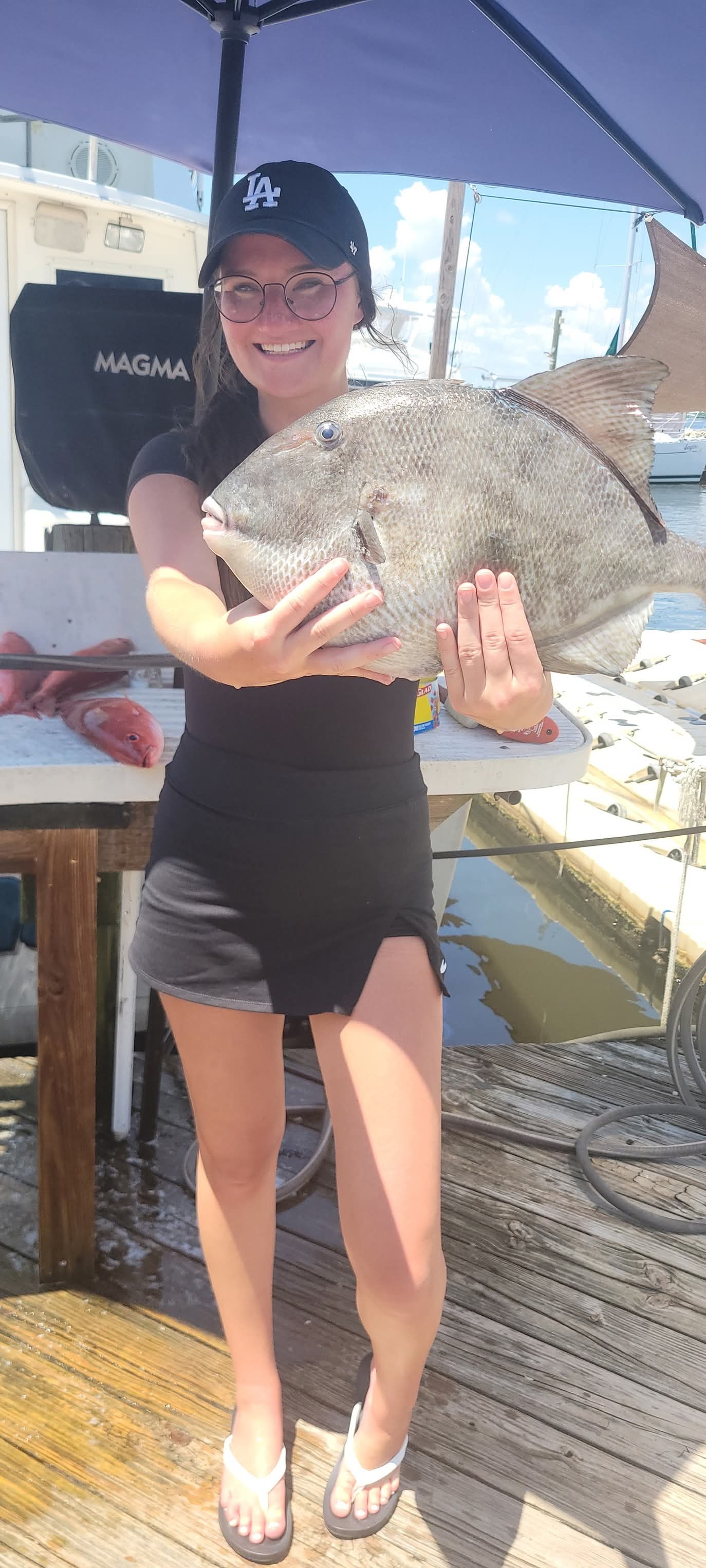 Triggerfish catch on the charter